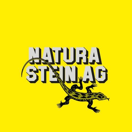 Logo naturastein